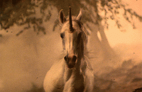 /album/kepek/gif-4-gif1/